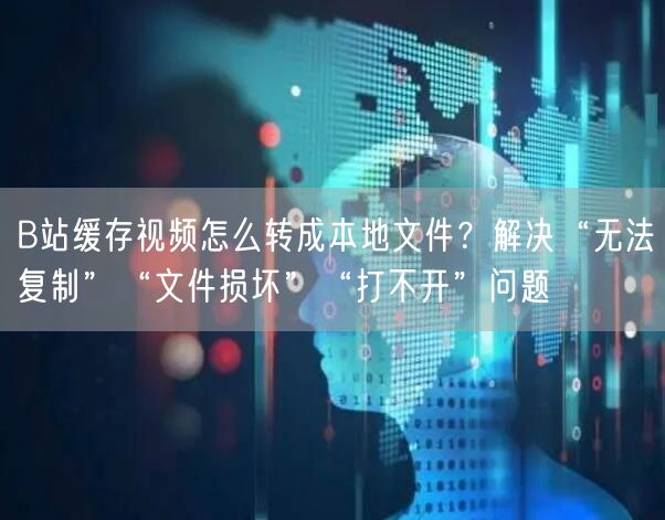 B站缓存视频怎么转成本地文件？解决“无法复制”“文件损坏”“打不开”问题