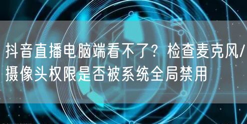 抖音直播电脑端看不了？检查麦克风/摄像头权限是否被系统全局禁用