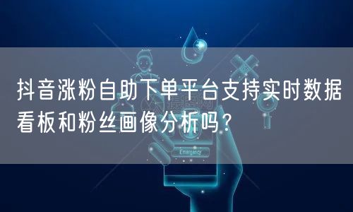 抖音涨粉自助下单平台支持实时数据看板和粉丝画像分析吗？