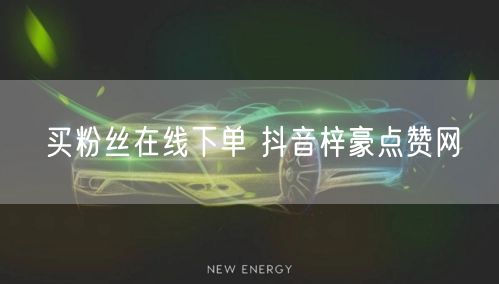 买粉丝在线下单 抖音梓豪点赞网