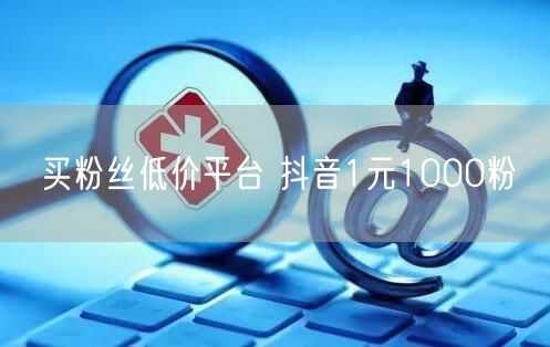 买粉丝低价平台 抖音1元1000粉