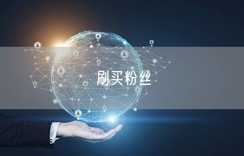 刷买粉丝