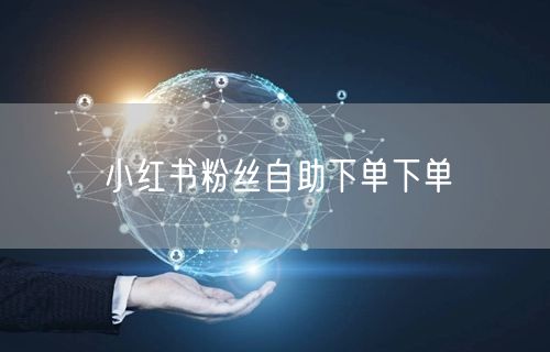 小红书粉丝自助下单下单