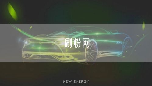 刷粉网