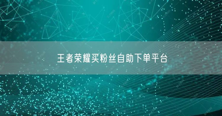 王者荣耀买粉丝自助下单平台