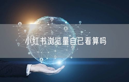 小红书浏览量自己看算吗