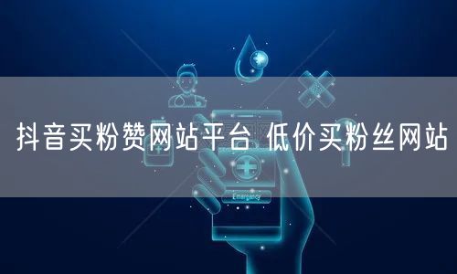 抖音买粉赞网站平台 低价买粉丝网站