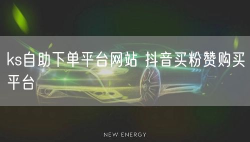 ks自助下单平台网站 抖音买粉赞购买平台