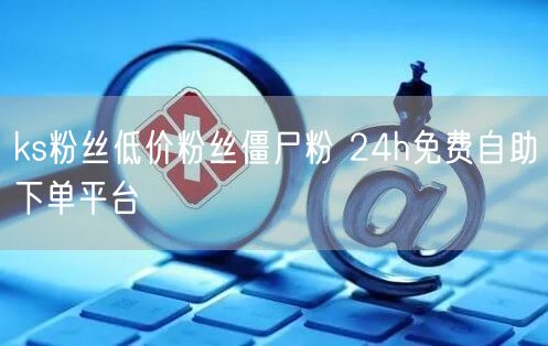 ks粉丝低价粉丝僵尸粉 24h免费自助下单平台