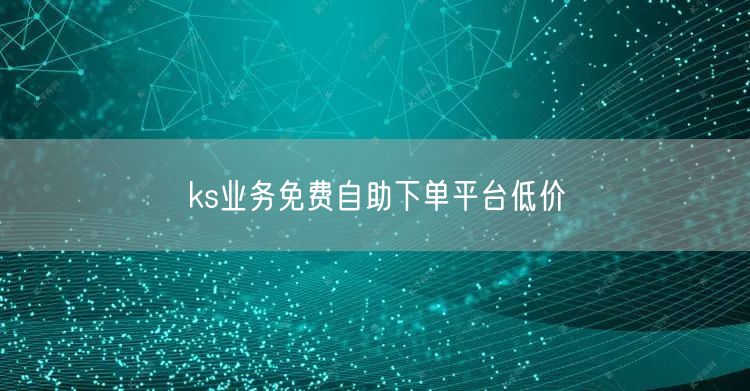 ks业务免费自助下单平台低价