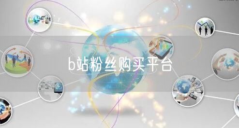 b站粉丝购买平台