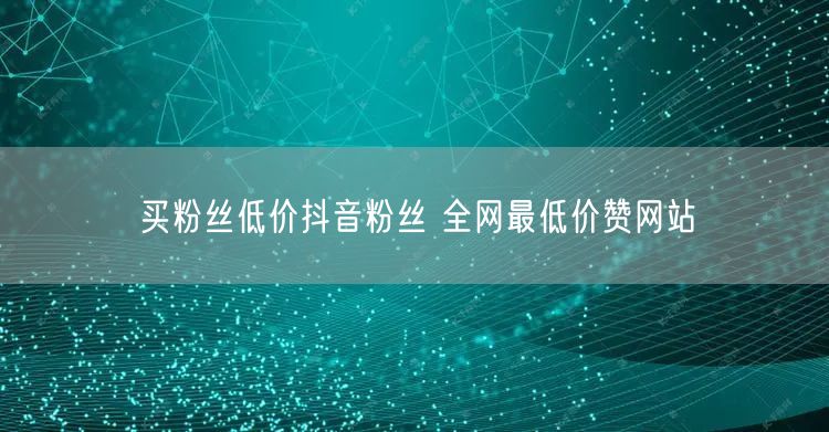 买粉丝低价抖音粉丝 全网最低价赞网站