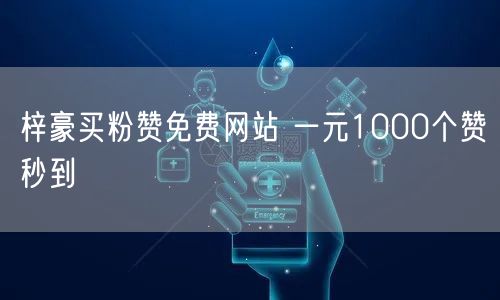 梓豪买粉赞免费网站 一元1000个赞秒到