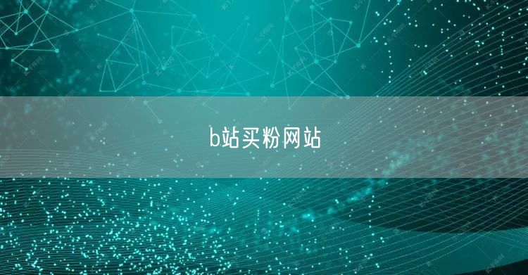 b站买粉网站