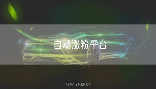 自动涨粉平台