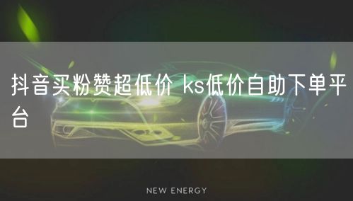 抖音买粉赞超低价 ks低价自助下单平台