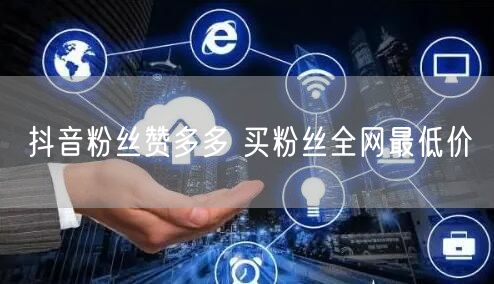 抖音粉丝赞多多 买粉丝全网最低价