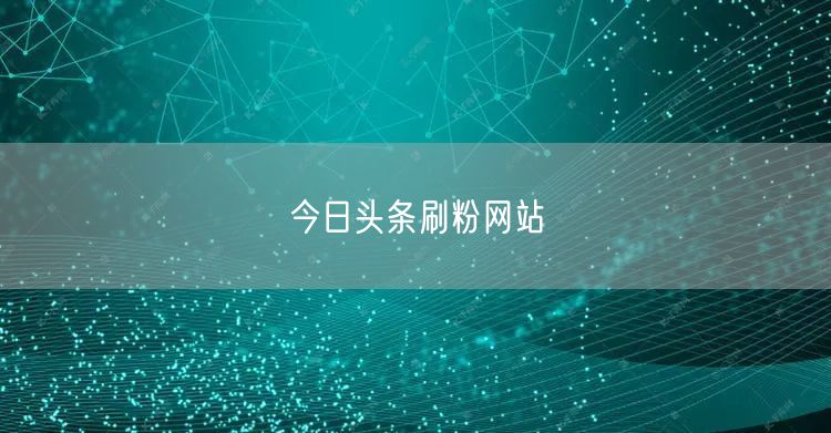 今日头条刷粉网站