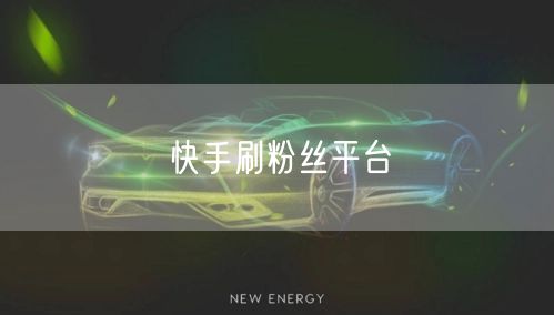快手刷粉丝平台
