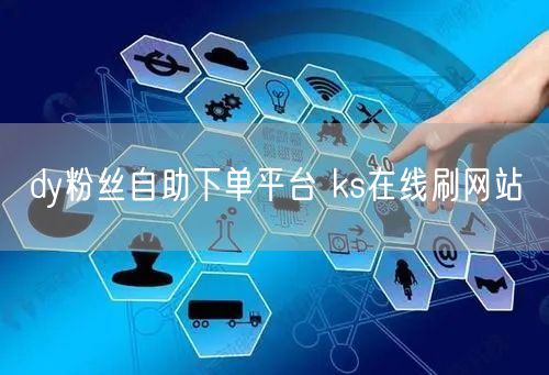 dy粉丝自助下单平台 ks在线刷网站