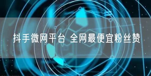 抖手微网平台 全网最便宜粉丝赞