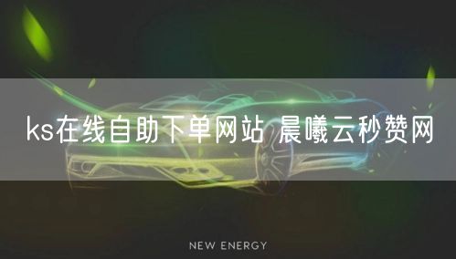 ks在线自助下单网站 晨曦云秒赞网