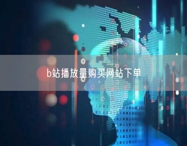 b站播放量购买网站下单