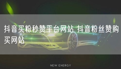 抖音买粉秒赞平台网站 抖音粉丝赞购买网站