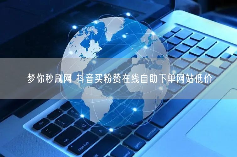 梦你秒刷网 抖音买粉赞在线自助下单网站低价