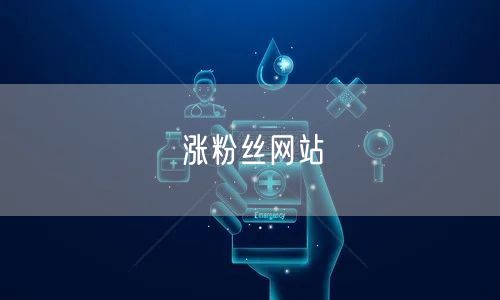 涨粉丝网站