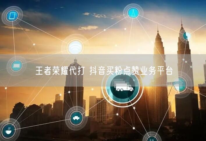 王者荣耀代打 抖音买粉点赞业务平台