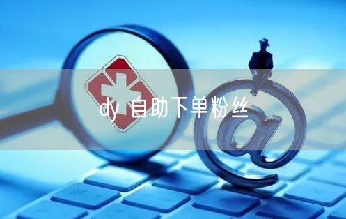 dy 自助下单粉丝