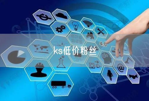 ks低价粉丝