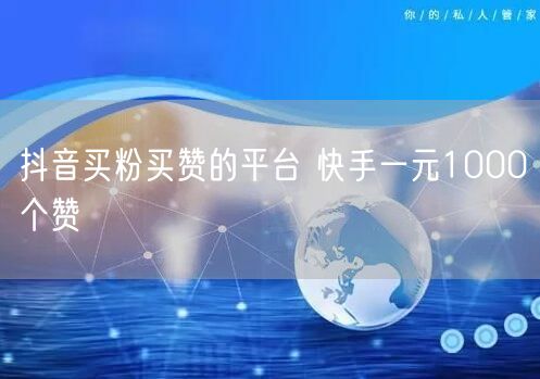 抖音买粉买赞的平台 快手一元1000个赞