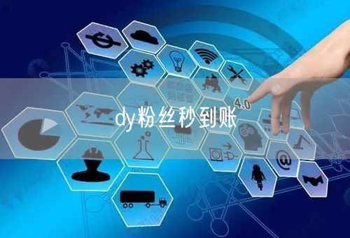 dy粉丝秒到账
