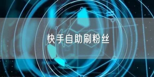 快手自助刷粉丝