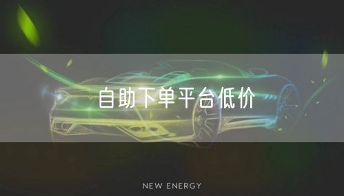 自助下单平台低价