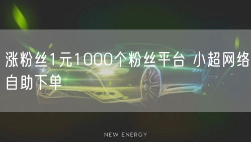 涨粉丝1元1000个粉丝平台 小超网络自助下单