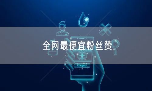 全网最便宜粉丝赞