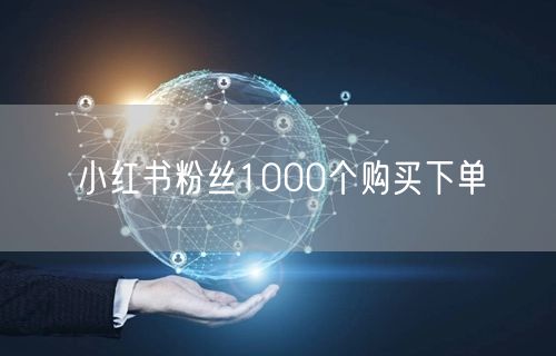 小红书粉丝1000个购买下单