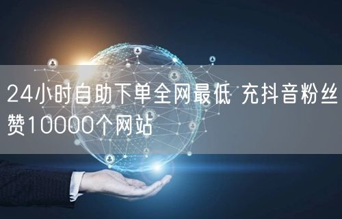 24小时自助下单全网最低 充抖音粉丝赞10000个网站