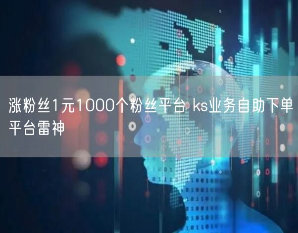 涨粉丝1元1000个粉丝平台 ks业务自助下单平台雷神