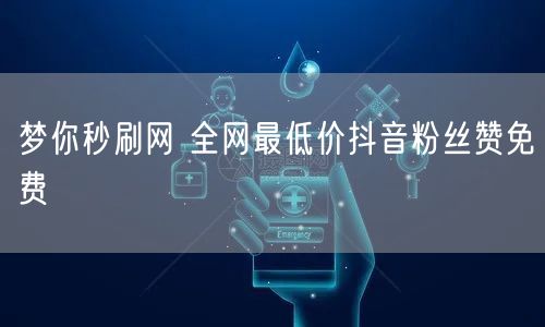 梦你秒刷网 全网最低价抖音粉丝赞免费