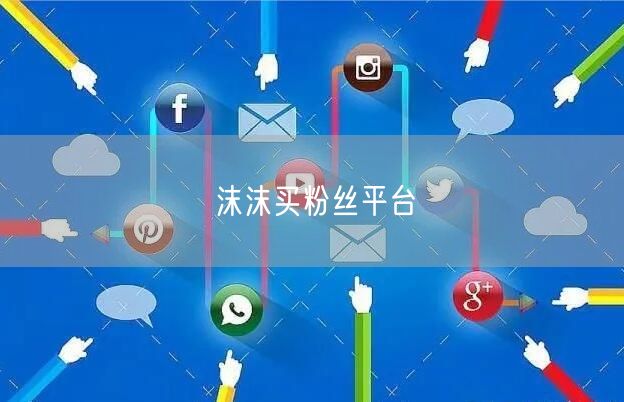沫沫买粉丝平台