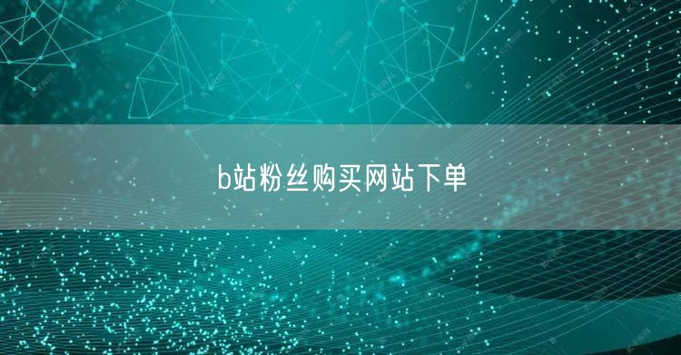 b站粉丝购买网站下单