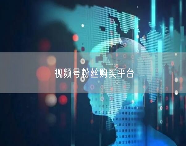 视频号粉丝购买平台