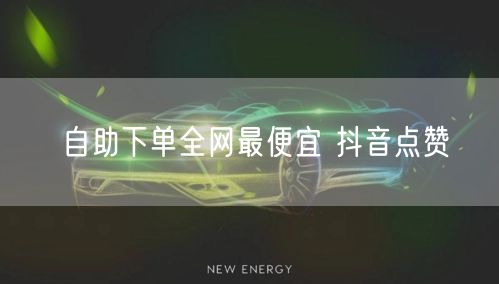 自助下单全网最便宜 抖音点赞