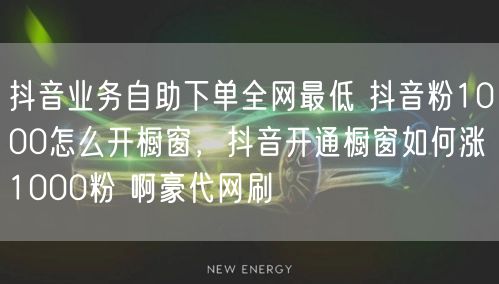 抖音业务自助下单全网最低 抖音粉1000怎么开橱窗，抖音开通橱窗如何涨1000粉 啊豪代网刷
