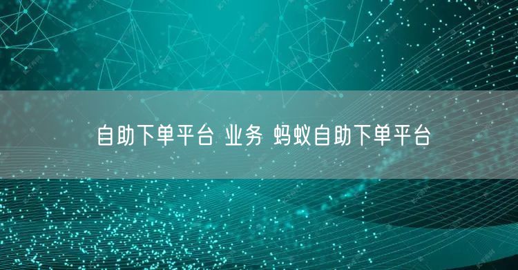 自助下单平台 业务 蚂蚁自助下单平台