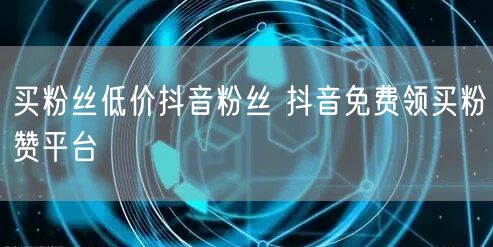 买粉丝低价抖音粉丝 抖音免费领买粉赞平台